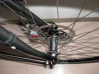Giant TCX